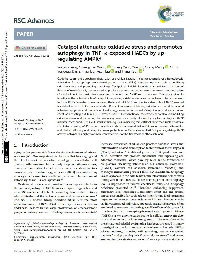 Catalpol attenuates oxidative stress and promotes autophagy in TNF-a-exposed HAECs by upregulating AMPK†